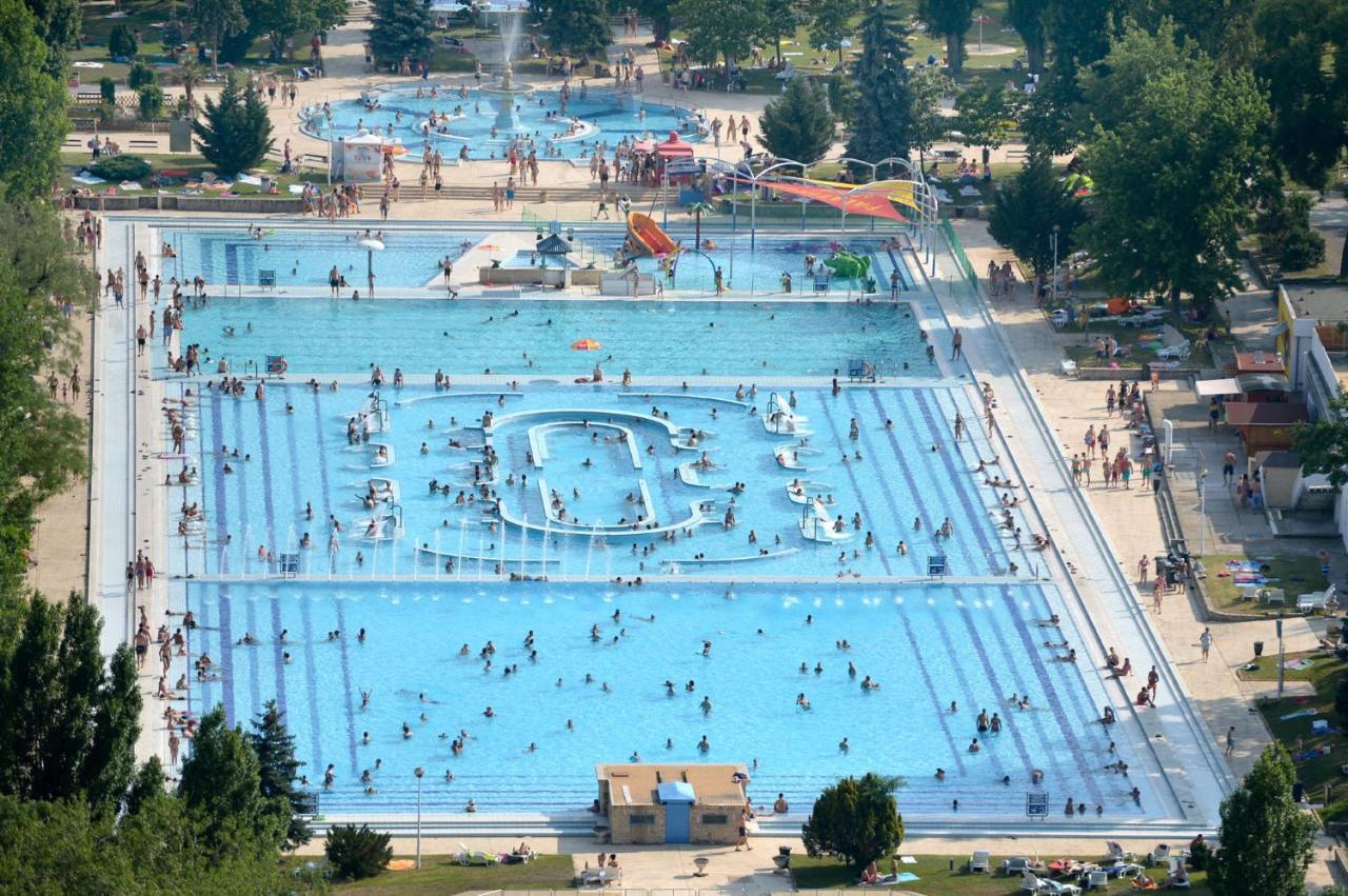 Island Hostel Budapest (Adults Only) Eksteriør billede Aerial view of the swimming pool