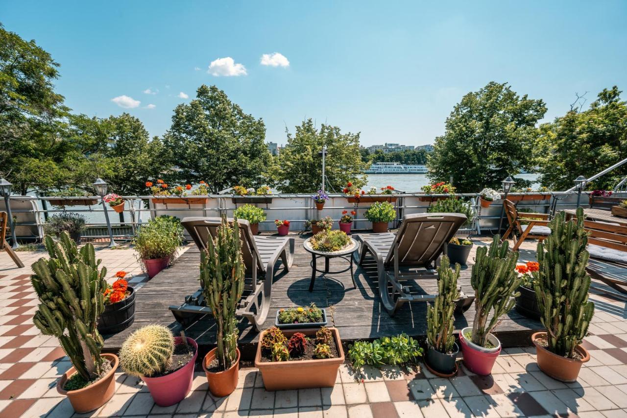 Island Hostel Budapest (Adults Only) Eksteriør billede Rooftop garden